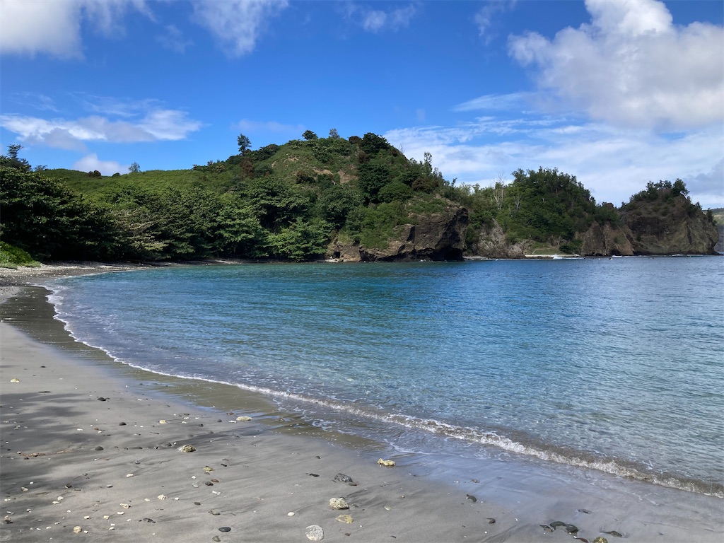 f:id:nenjin:20241105223337j:image