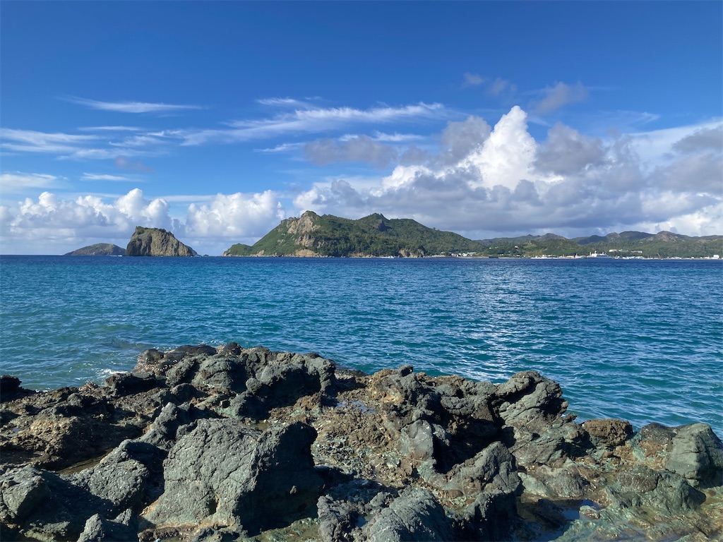 f:id:nenjin:20241105224637j:image