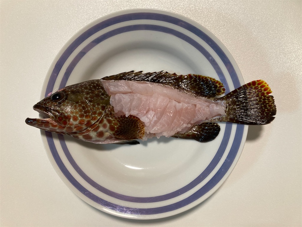 f:id:nenjin:20241105235130j:image