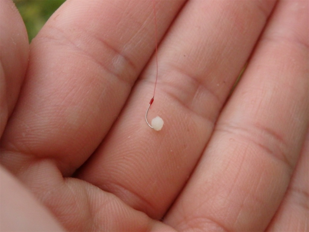 f:id:nenjin:20241129194430j:image