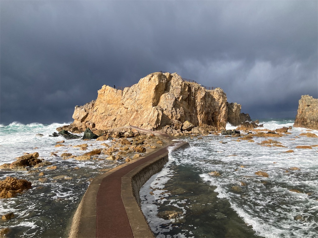 f:id:nenjin:20241129201430j:image