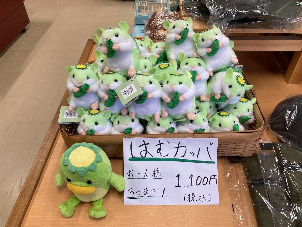 f:id:nenjin:20241129202837j:image