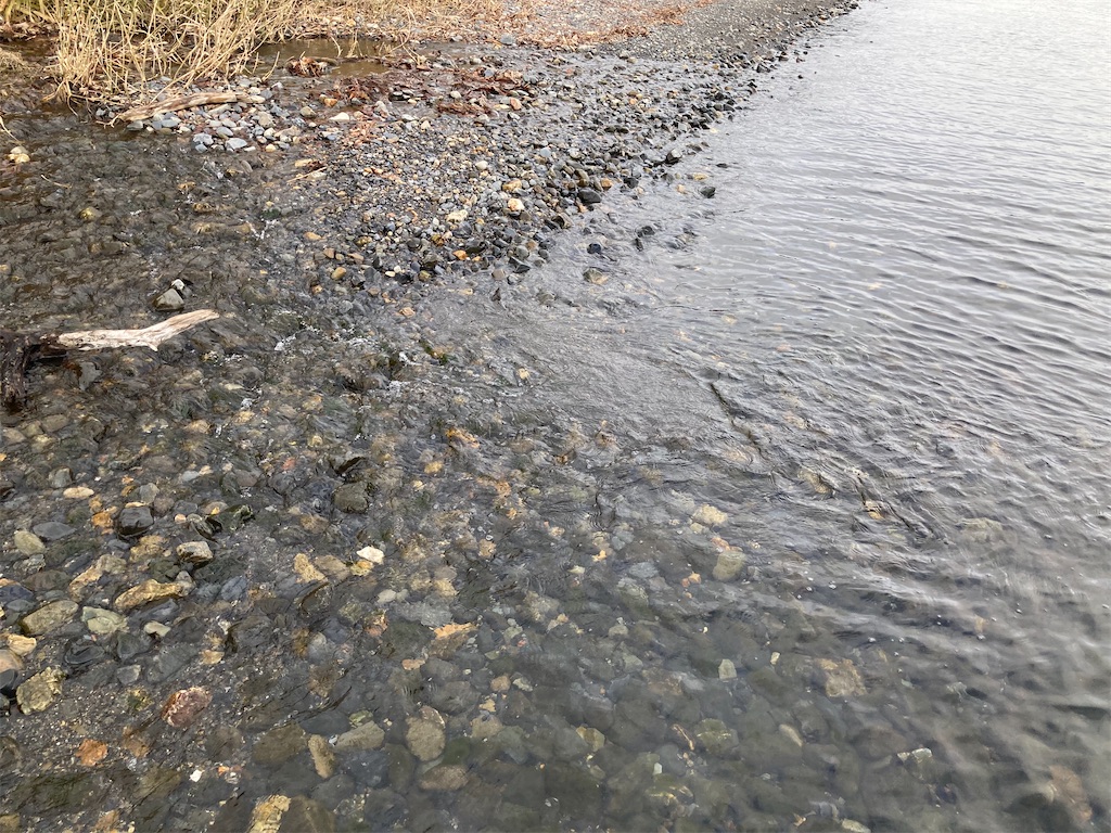 f:id:nenjin:20250109212920j:image