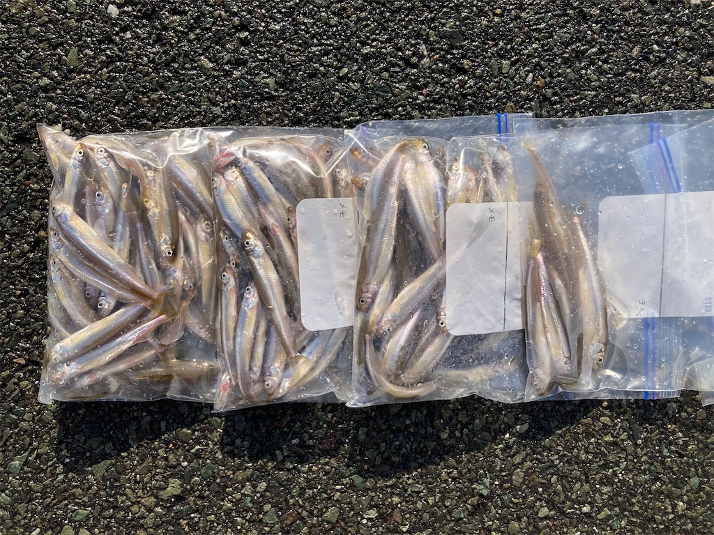 f:id:nenjin:20250109214209j:image