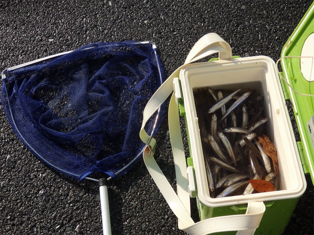 f:id:nenjin:20250109214213j:image