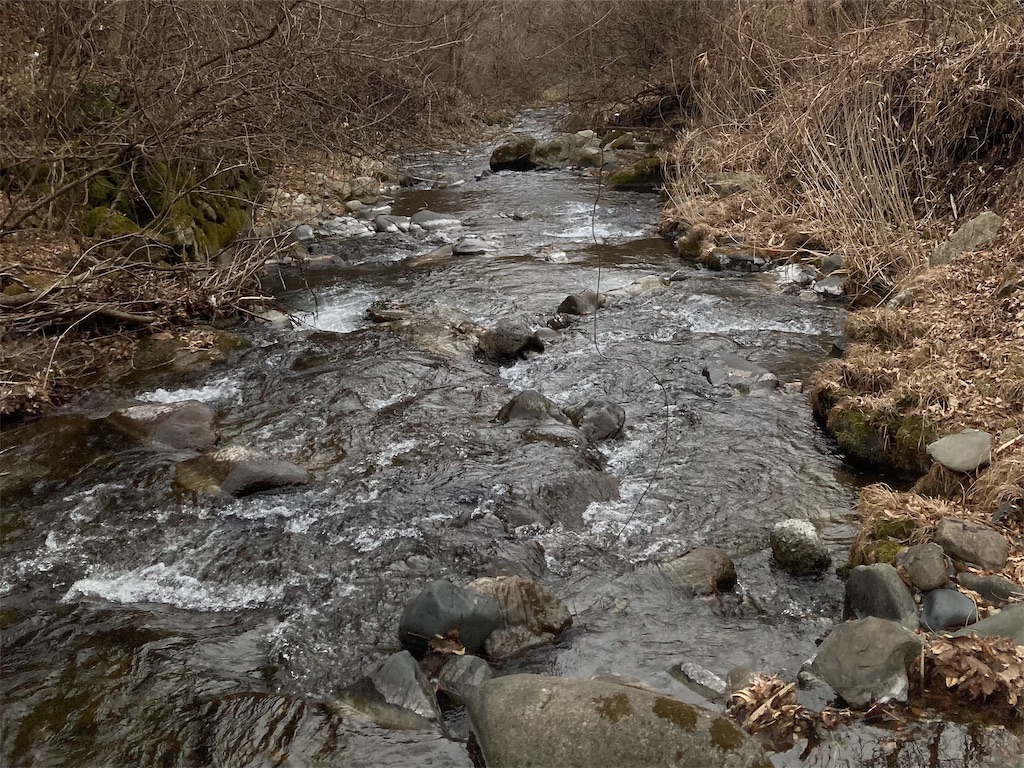 f:id:nenjin:20250217223514j:image