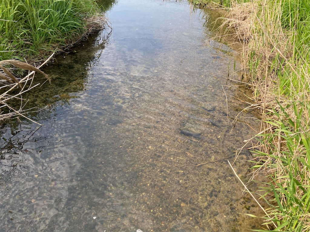 f:id:nenjin:20250428201326j:image