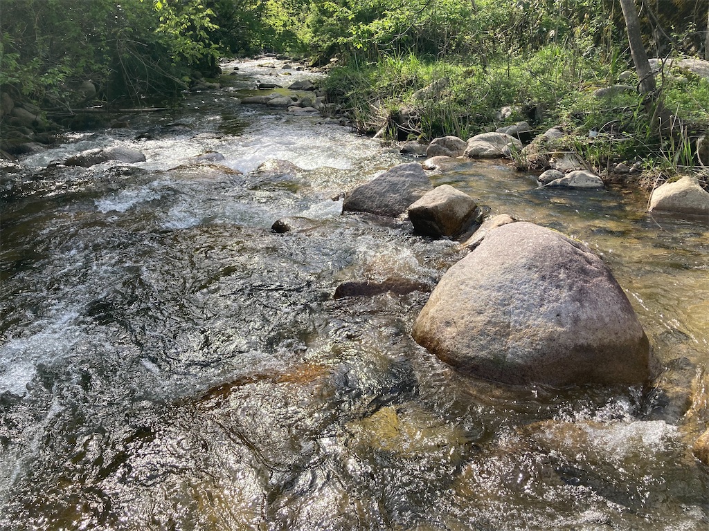 f:id:nenjin:20250522221847j:image