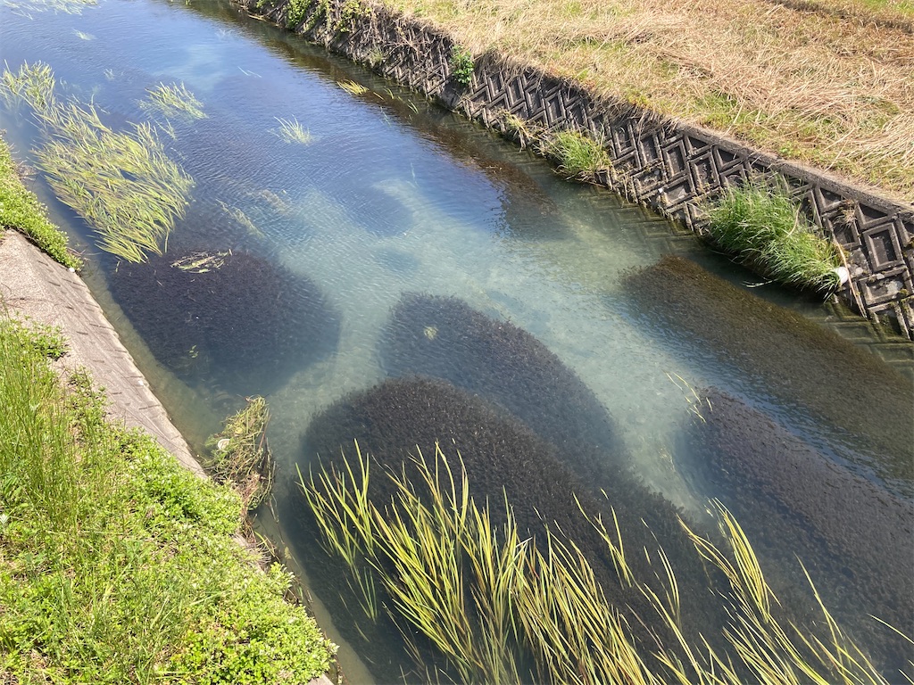 f:id:nenjin:20250601115227j:image