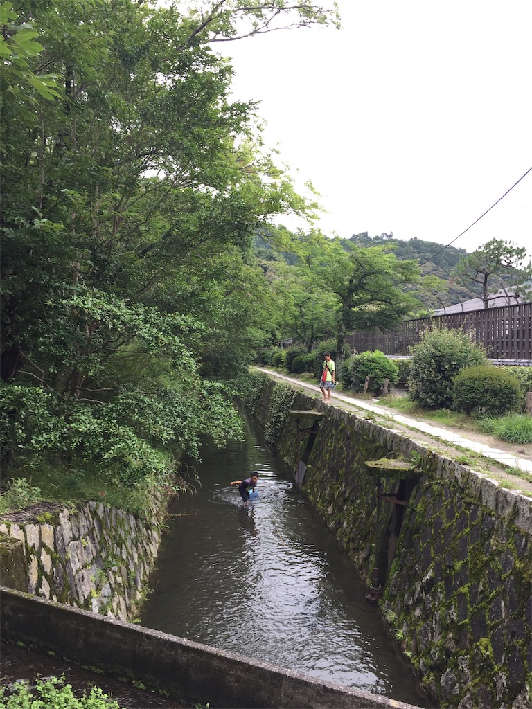 f:id:nenjuomoti:20190716222535j:image f:id:nenjuomoti:20190716222535j:image