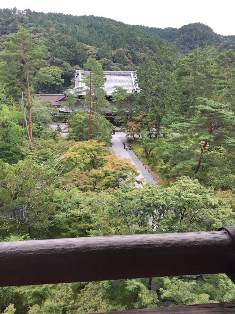 f:id:nenjuomoti:20190716224240j:image f:id:nenjuomoti:20190716224240j:image