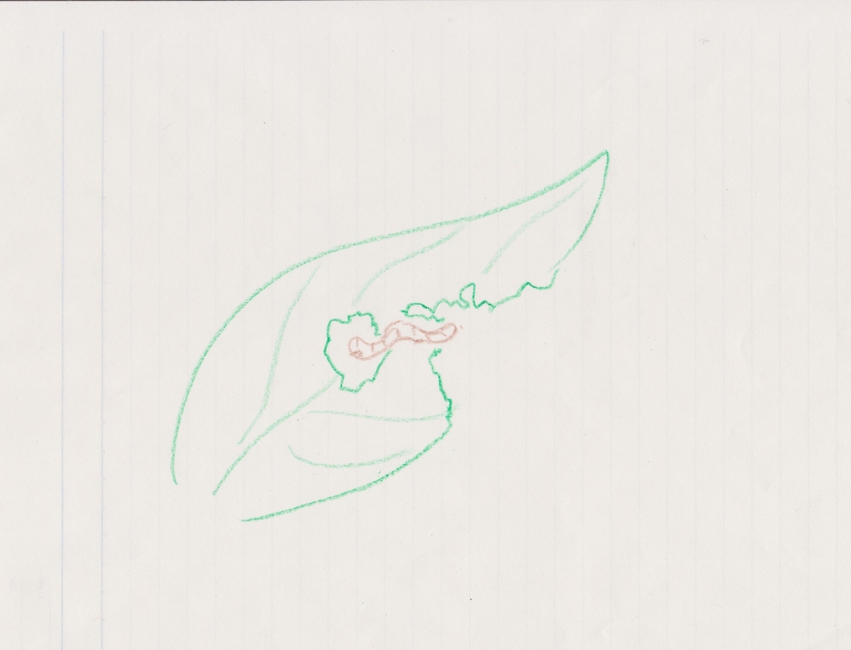 f:id:nenta-moyori:20200221141226j:plain f:id:nenta-moyori:20200221141226j:plain