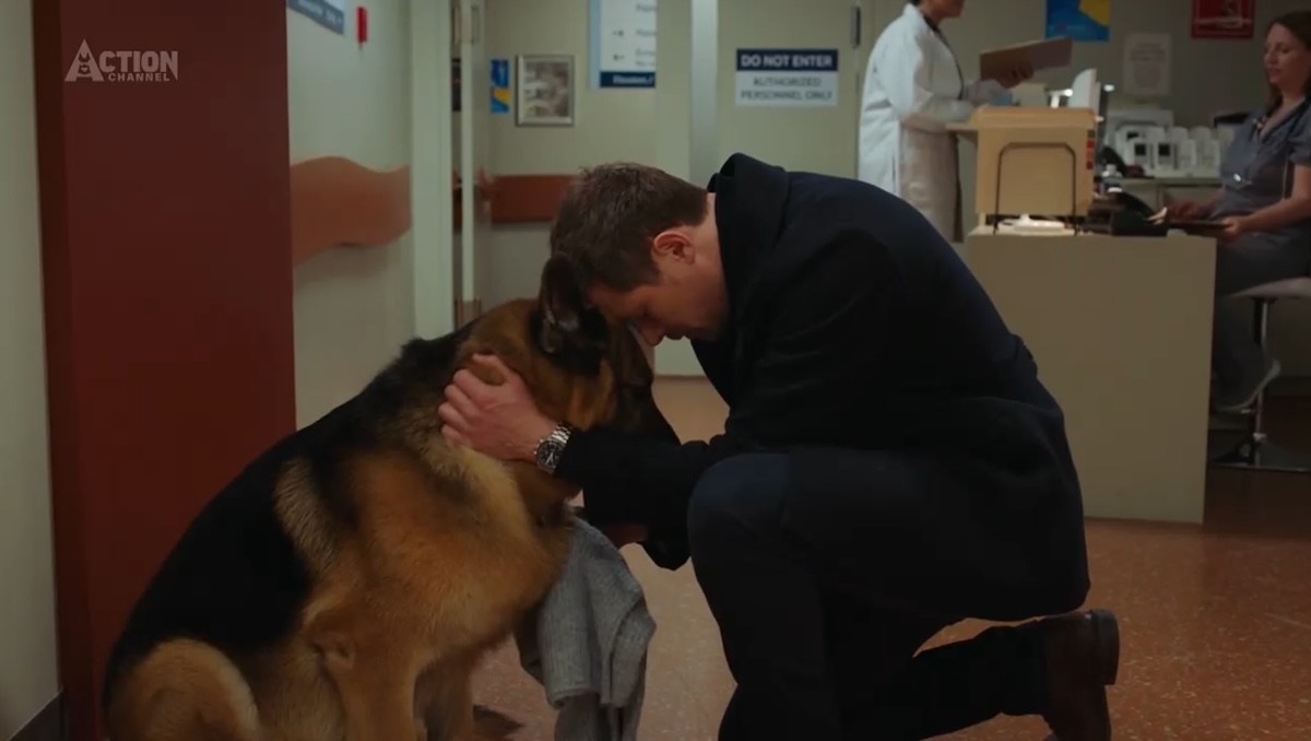 ハドソン＆レックス〜セントジョンズ警察シェパード犬刑事〜Hudson&Rex
