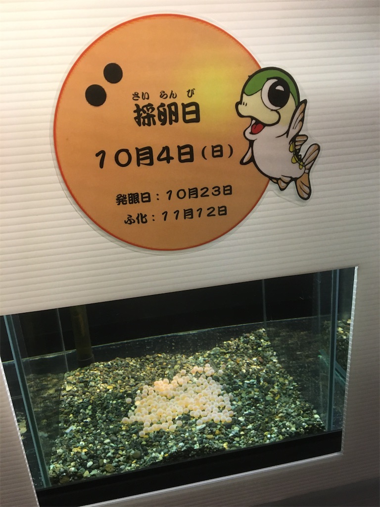 f:id:neojaken:20201017102217j:image f:id:neojaken:20201017102217j:image