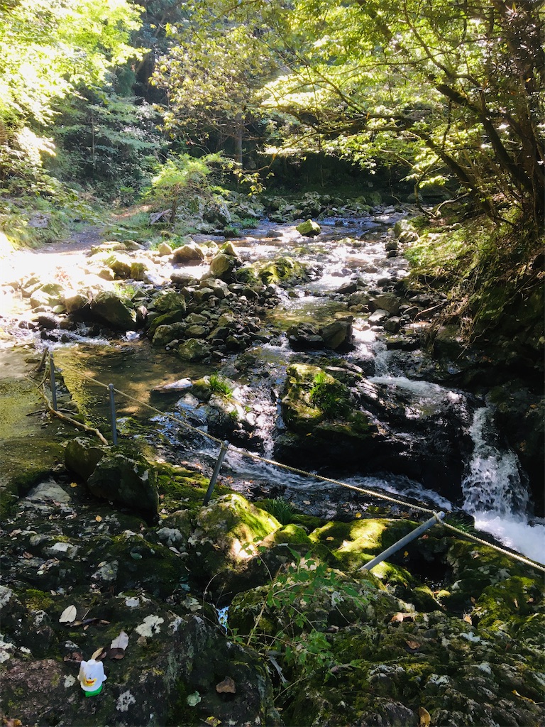 f:id:neojaken:20201021212713j:image f:id:neojaken:20201021212713j:image