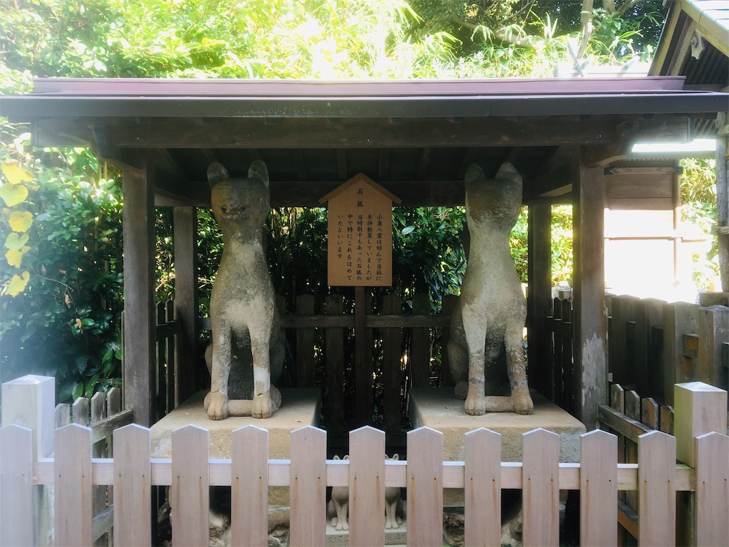 f:id:neojaken:20201109192054j:image f:id:neojaken:20201109192054j:image