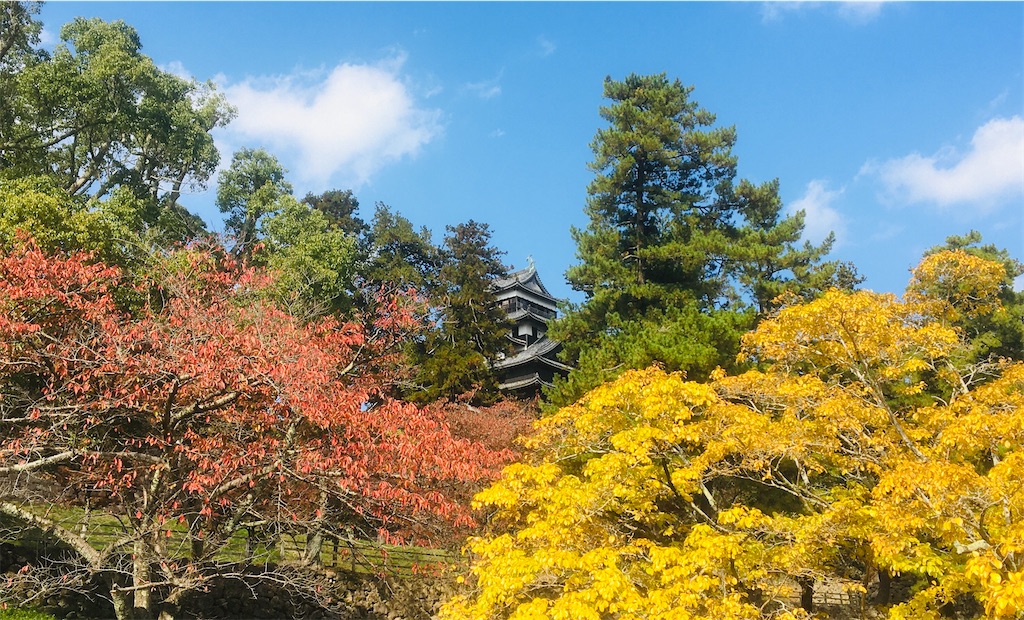 f:id:neojaken:20201109192110j:image f:id:neojaken:20201109192110j:image