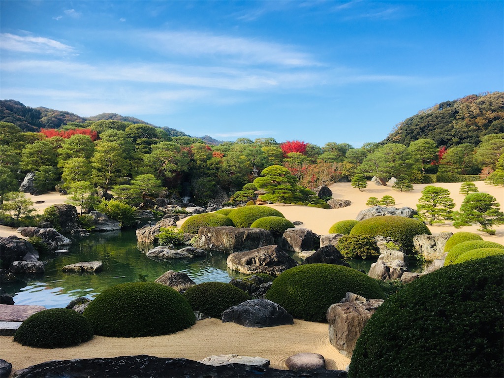 f:id:neojaken:20201116211009j:image f:id:neojaken:20201116211009j:image