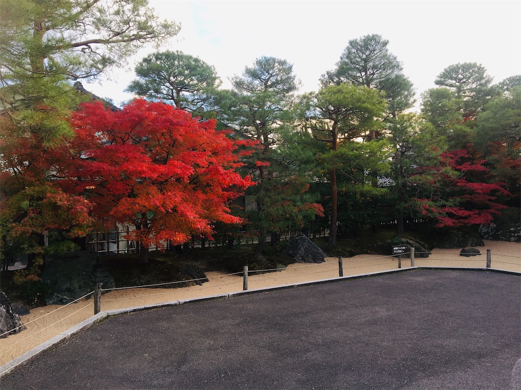 f:id:neojaken:20201116211017j:image f:id:neojaken:20201116211017j:image