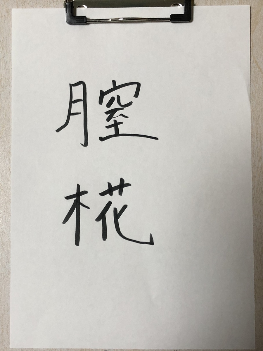 f:id:neonancho:20190401231136j:plain
