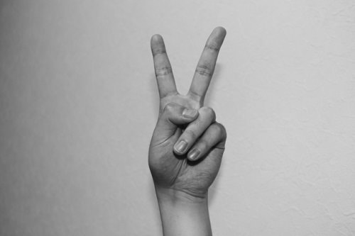 １００記事書いたぜ