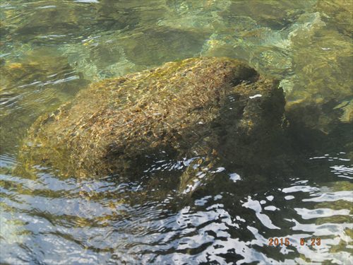 f:id:neoneetzaki:20160730081051j:plain