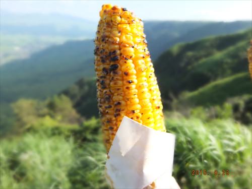 f:id:neoneetzaki:20160730081355j:plain