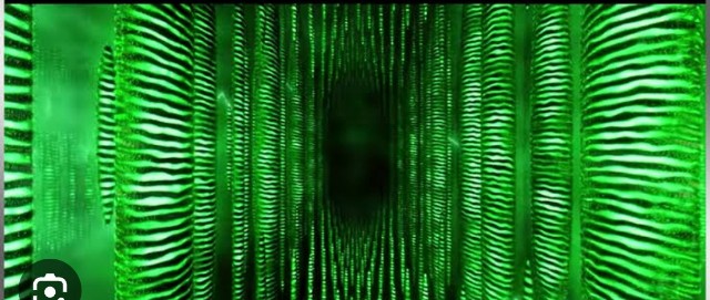 f:id:neoworld777:20230528085052j:image