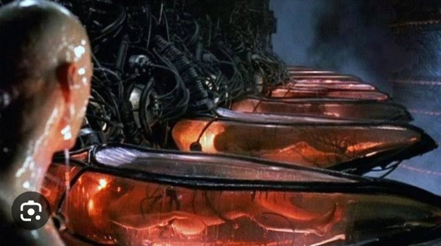 f:id:neoworld777:20230531100428j:image f:id:neoworld777:20230531100428j:image