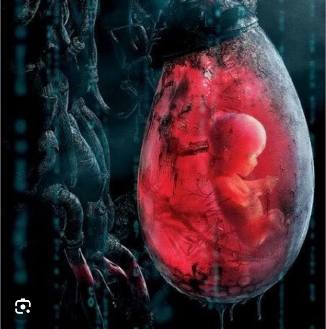 f:id:neoworld777:20230531100447j:image f:id:neoworld777:20230531100447j:image