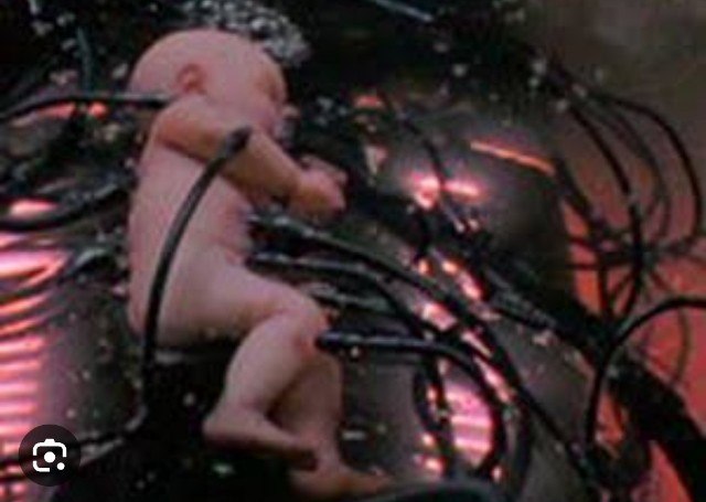 f:id:neoworld777:20230531100507j:image f:id:neoworld777:20230531100507j:image