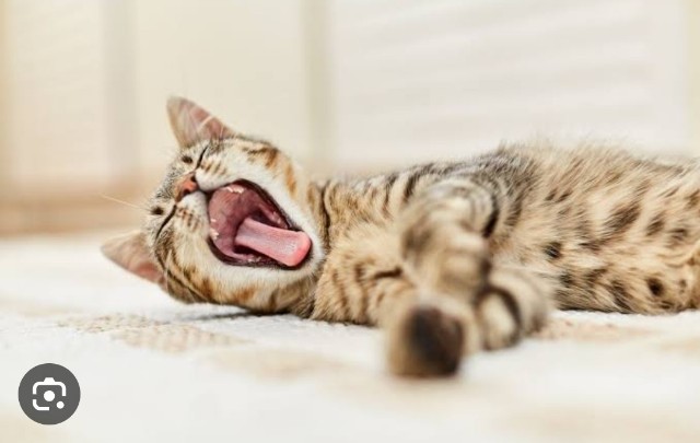 f:id:neoworld777:20230531151348j:image