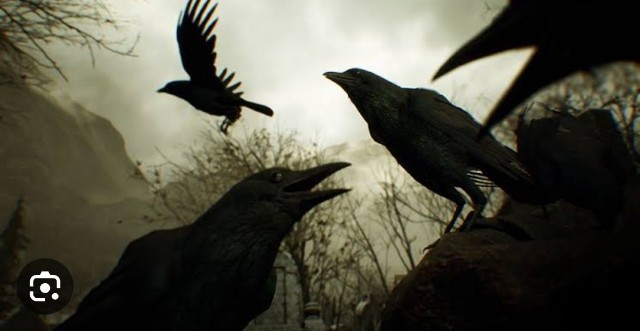 f:id:neoworld777:20230604063520j:image f:id:neoworld777:20230604063520j:image