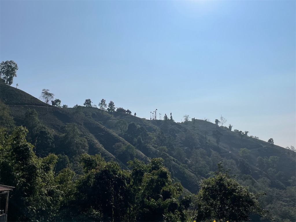 f:id:nepalryugaku:20241230102539j:image