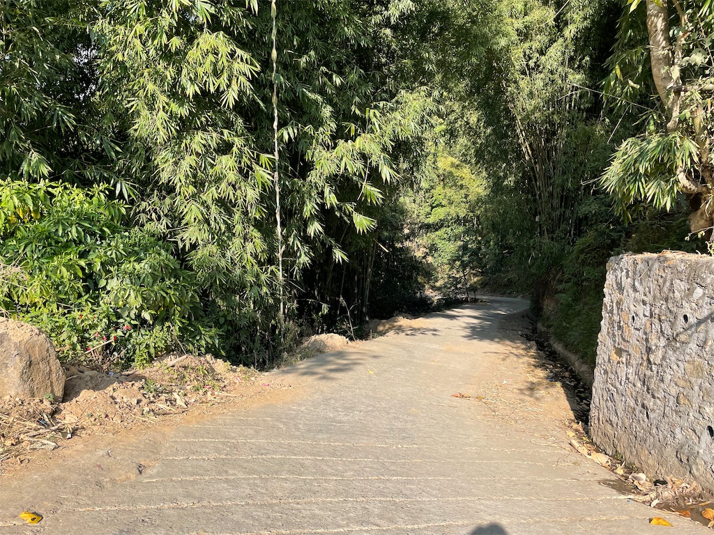 f:id:nepalryugaku:20241230102932j:image