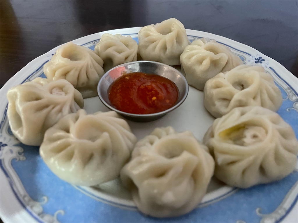 f:id:nepalryugaku:20241230182438j:image