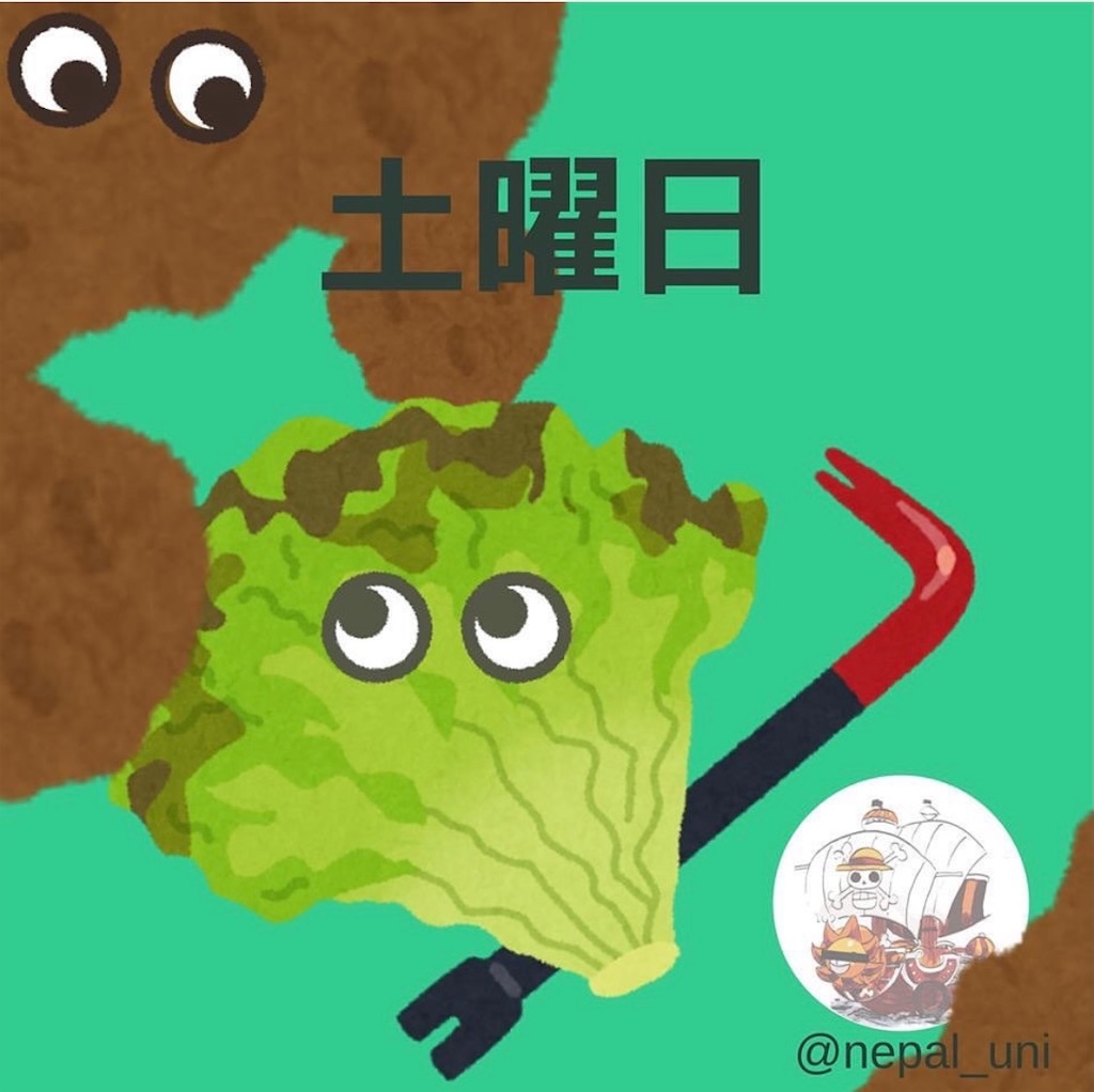 f:id:nepaluni:20210414152130j:image