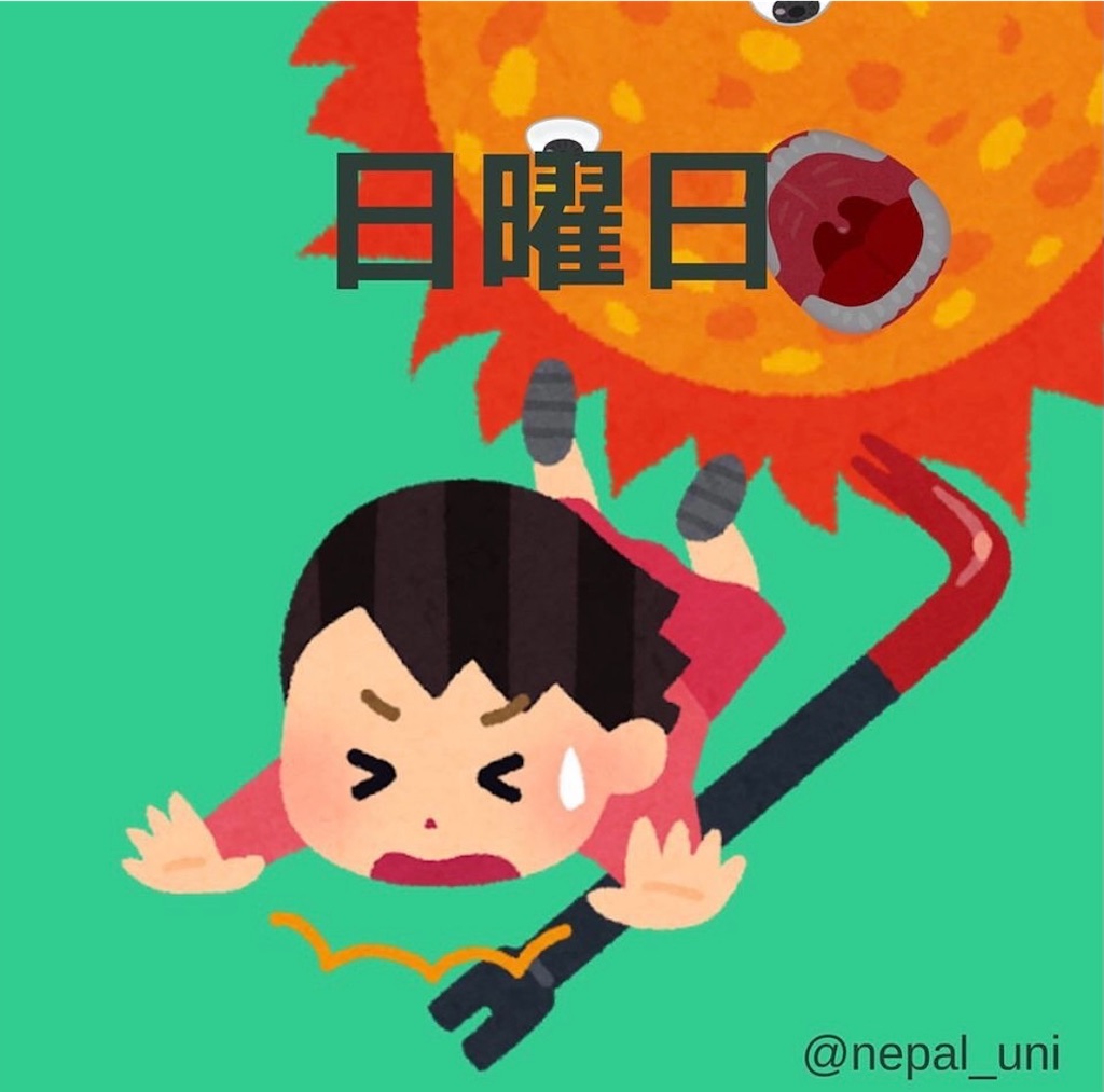 f:id:nepaluni:20210414152154j:image