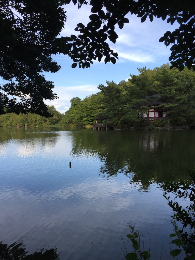f:id:neri-map0801:20180710130006j:image f:id:neri-map0801:20180710130006j:image