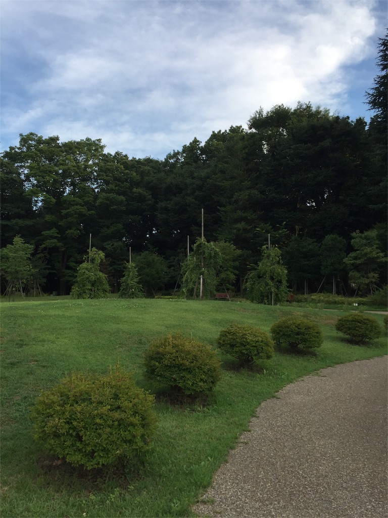 f:id:neri-map0801:20180710130541j:image f:id:neri-map0801:20180710130541j:image
