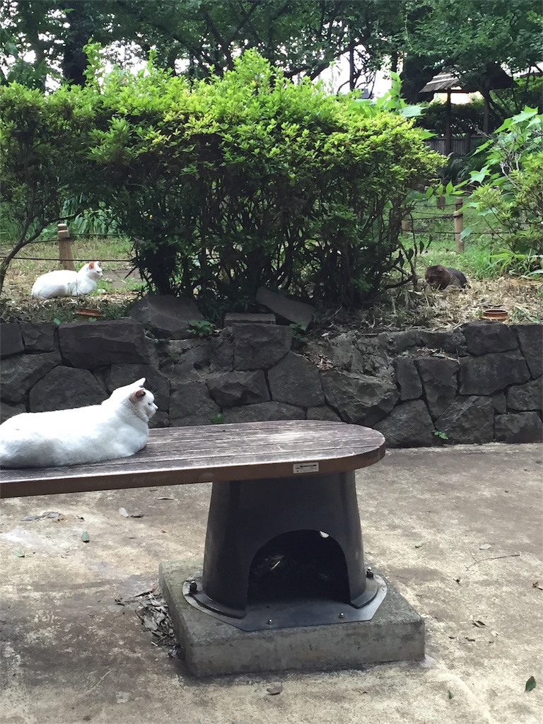 f:id:neri-map0801:20180710131018j:image f:id:neri-map0801:20180710131018j:image