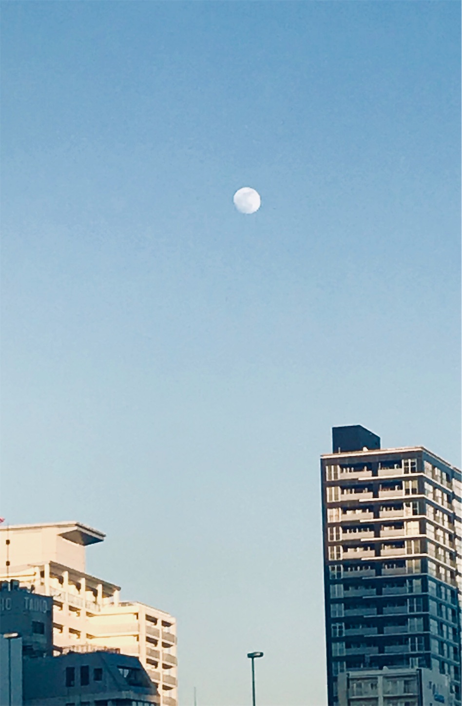 f:id:neri140:20190120123145j:image