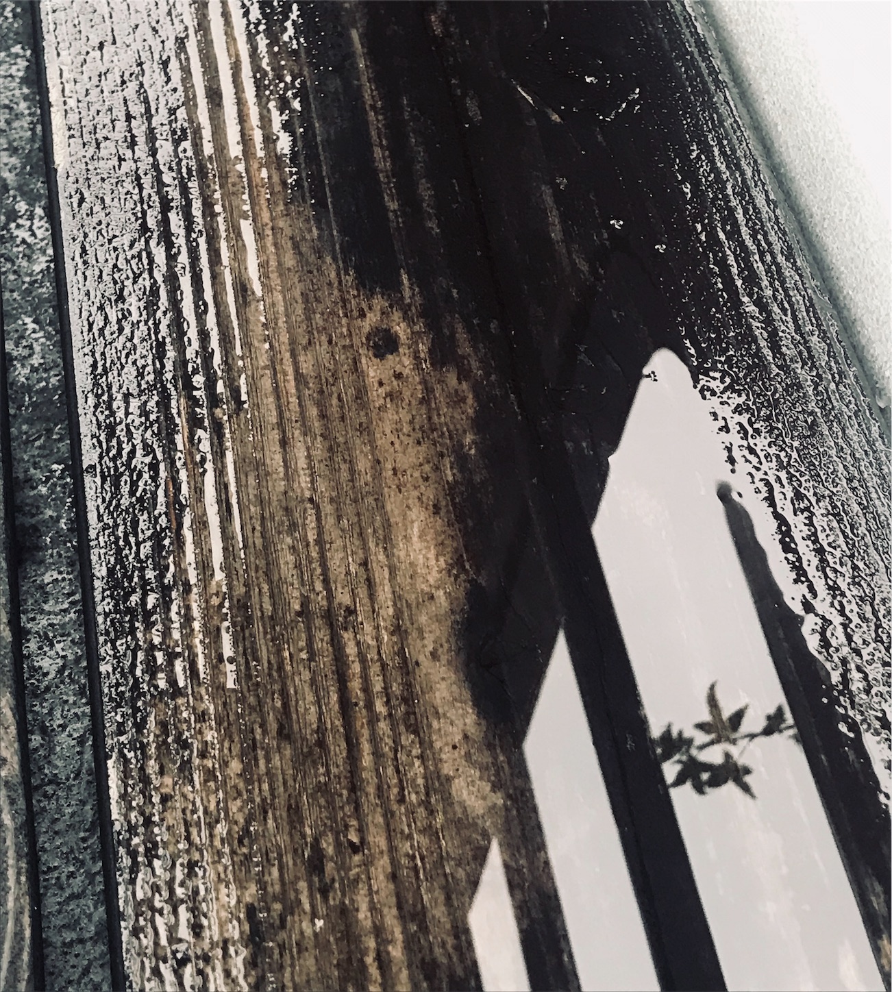 f:id:neri140:20190727144626j:image