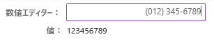 UIコントロール選択ガイド - エディター - 数値エディター + マスク入力