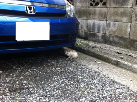 f:id:neri_ant20:20120620082827j:image f:id:neri_ant20:20120620082827j:image
