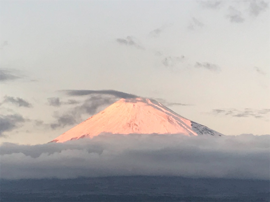 f:id:nerigarako:20191231181853j:image