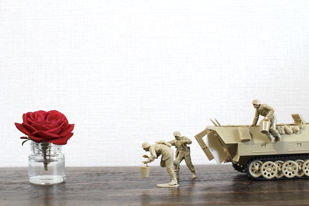 バラと、バケツ一杯のドラマ 1/35 ハノマークD型 シュッツェン