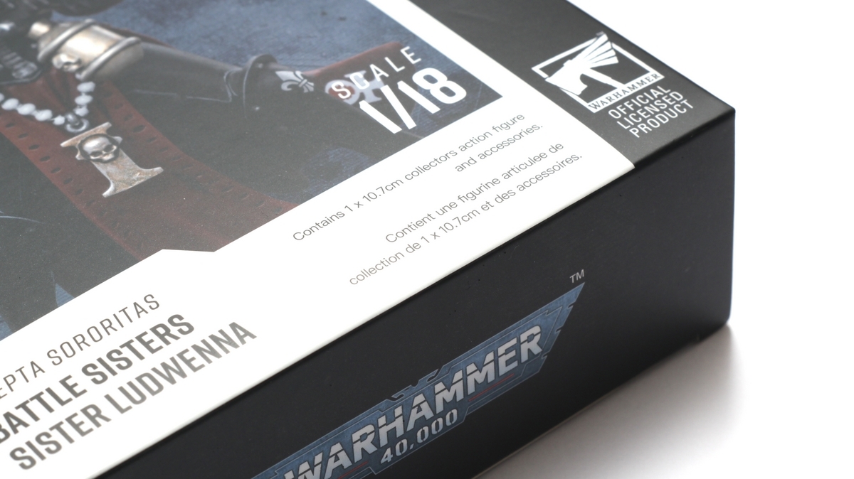 もっとデカイやつで知りたいことがあったので。JoyToy 1/18 Adepta