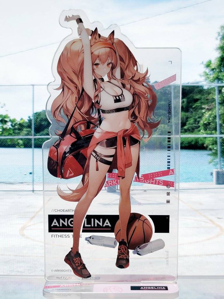 大陸限定公式グッズ アクリルスタンド(8.5×17.5cm) トレーニング
