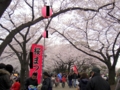 20100404120809